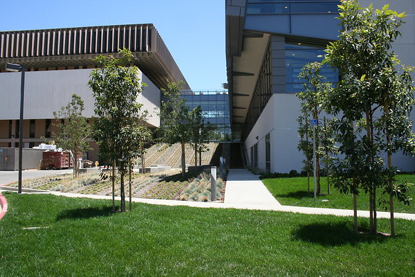 IMG 0665