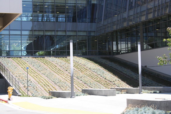 IMG 0662