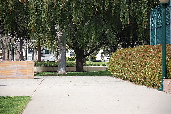 DSC 0092