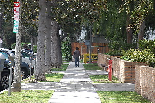 DSC 0089