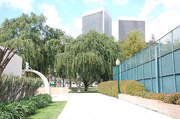 DSC 0093