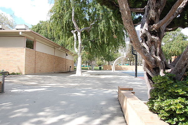 DSC 0090
