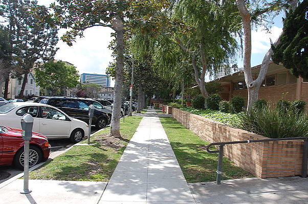 DSC 0088