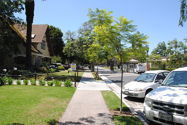 DSC 0101