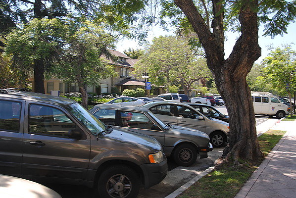 DSC 0092