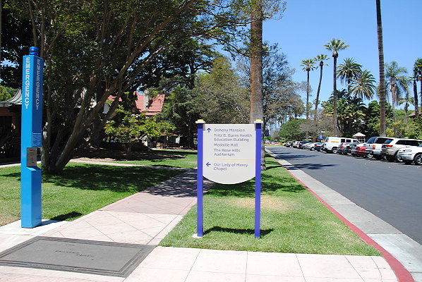 DSC 0050