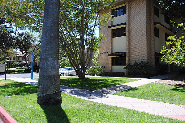 DSC 0054