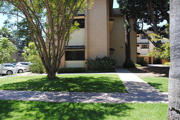 DSC 0052