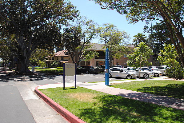 DSC 0051