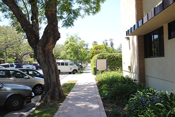 DSC 0093