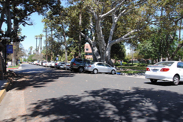 DSC 0041