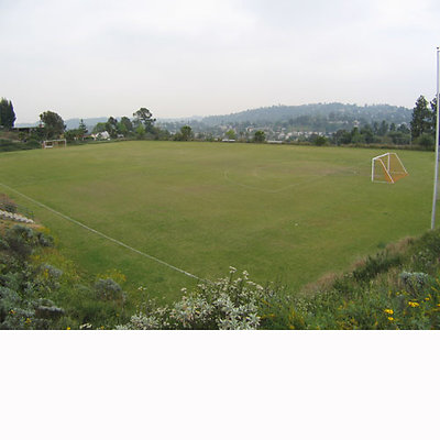 oxysoccerfield