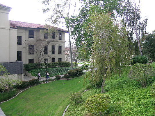 DSCN5238