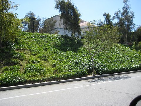 Oxy.Road.03