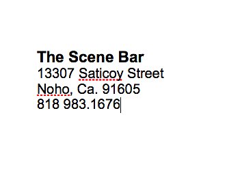 z.The Scene Bar.INFO.Noho