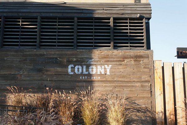 Colony.Club.Bar.Hollywood