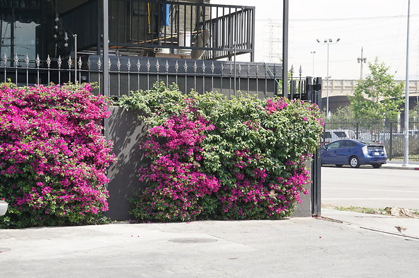 DSC03701