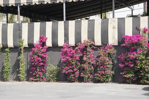 DSC03699