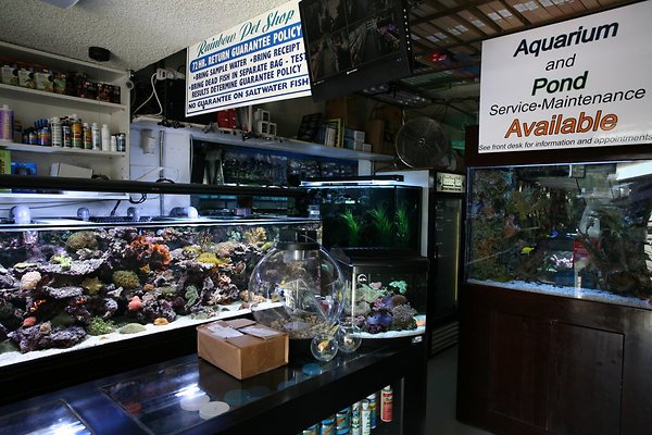 RainbowPetShop 2009-08-24 STST 009