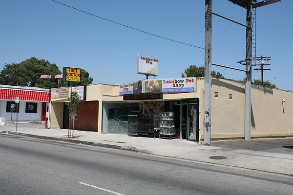 RainbowPetShop 2009-08-24 STST 002