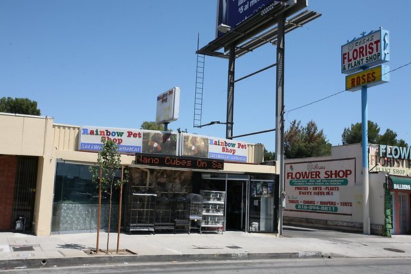 RainbowPetShop 2009-08-24 STST 005
