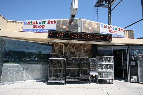 RainbowPetShop 2009-08-24 STST 006