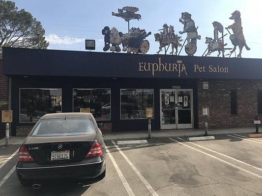 North Hollywood LA -- Euphuria Pet Salon