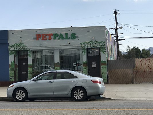North Hollywood LA -- Pet Pals