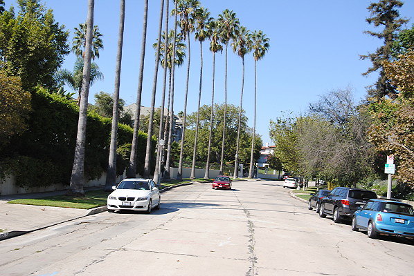 DSC 0044