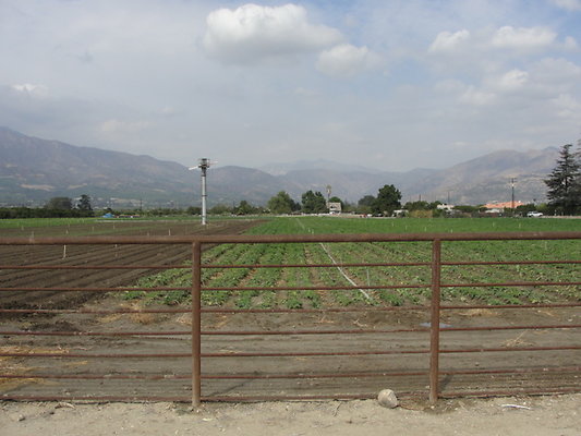 DSC04096