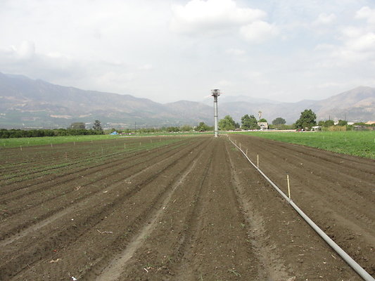 DSC04097