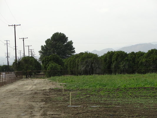 DSC04100