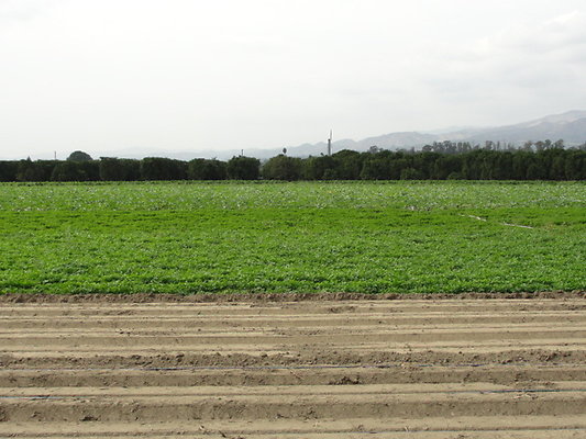 DSC04093