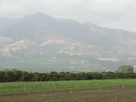 DSC04099