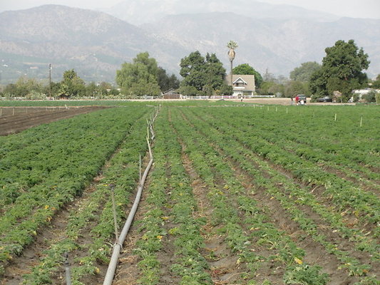 DSC04101