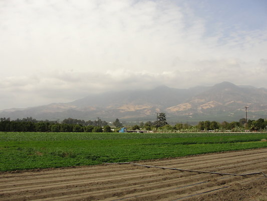 DSC04092