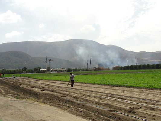 DSC04094