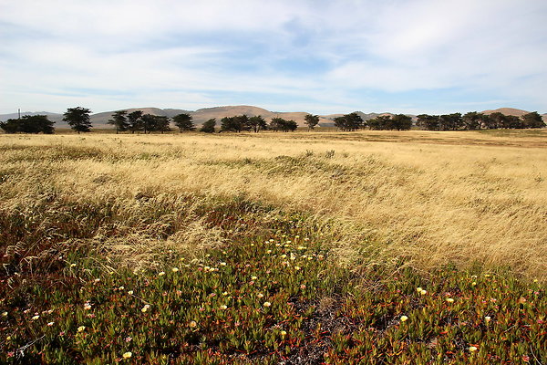 Cojo Ranch-SBCO-041