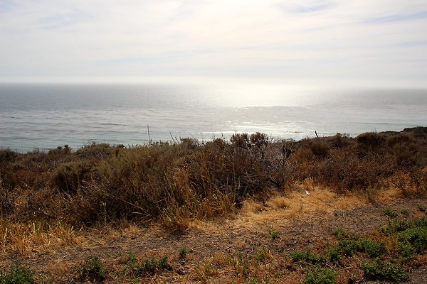 Cojo Ranch-SBCO-011