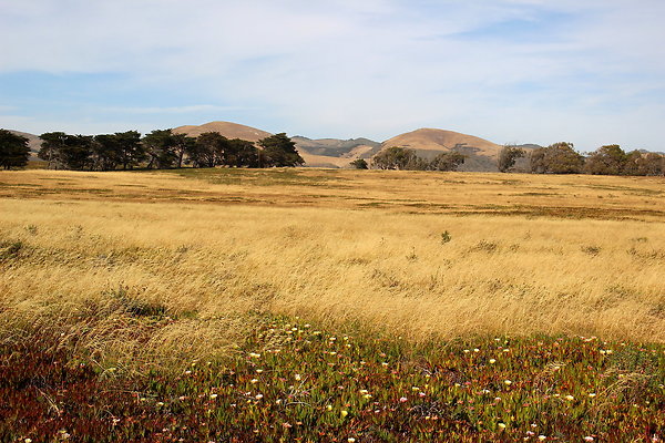 Cojo Ranch-SBCO-049