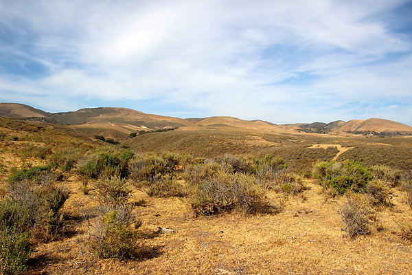 Cojo Ranch-SBCO-029