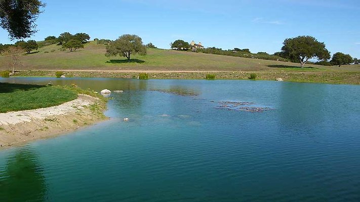 Ranch 110-156  scaled 800