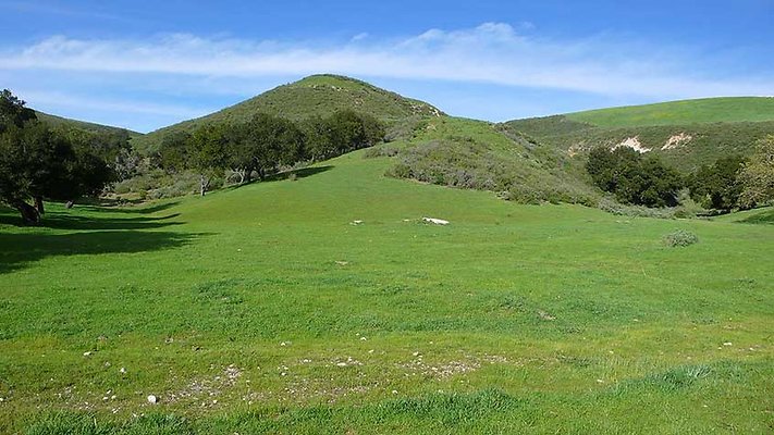 Ranch 110-176  scaled 800