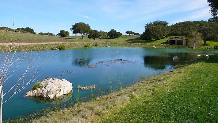 Ranch 110-164  scaled 800