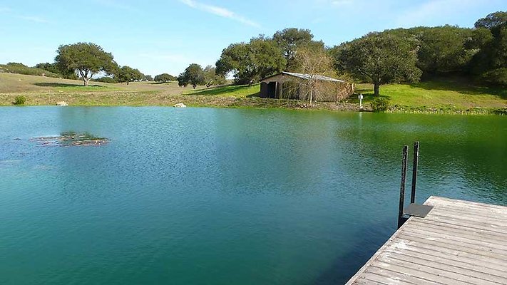 Ranch 110-158  scaled 800