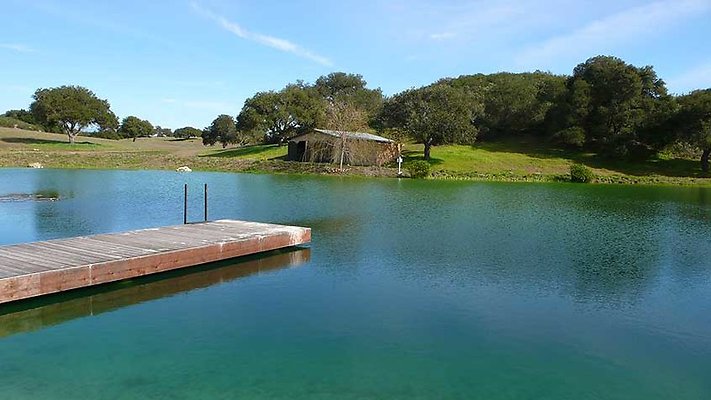 Ranch 110-161  scaled 800