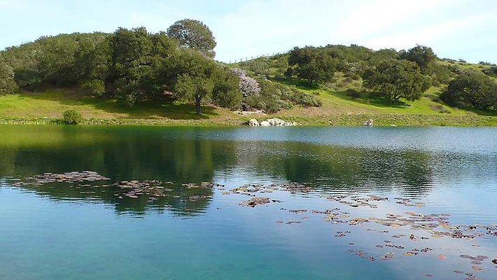 Ranch 110-171  scaled 800