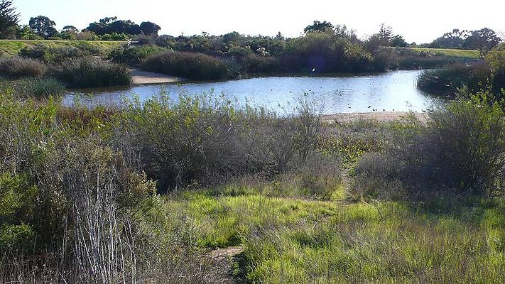 Lake Vista 101-141  scaled 800