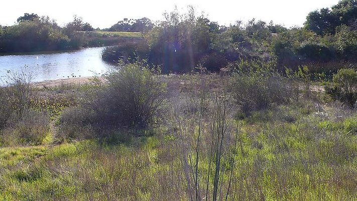 Lake Vista 101-142  scaled 800