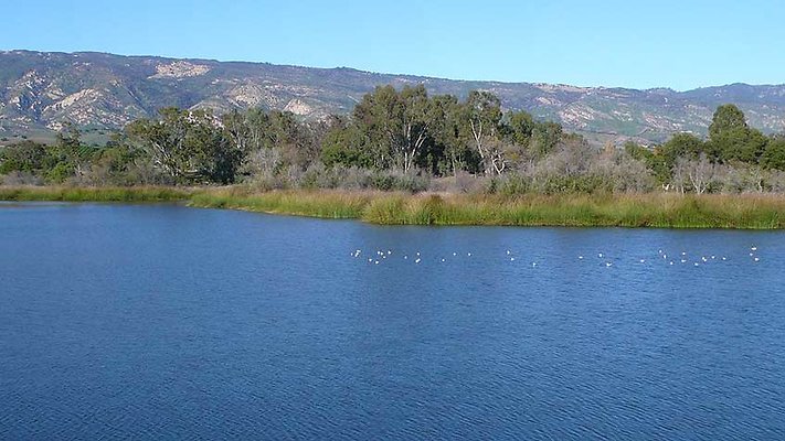 Lake Vista 101-105  scaled 800